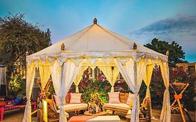 Serendipity Desert Camp 4*